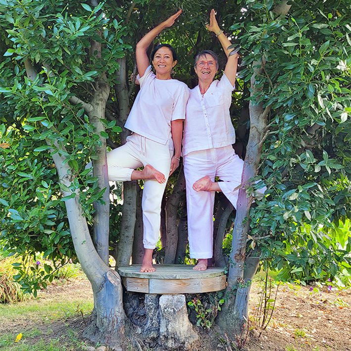 Les profs, posture de l'arbre au centre Shanti Yoga